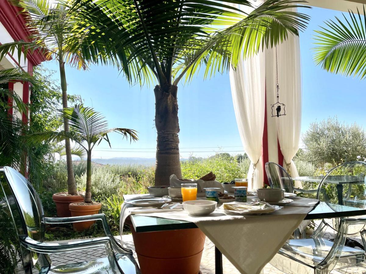 Best Luxury Boutique B&B Vista Do Vale 토마르 외부 사진